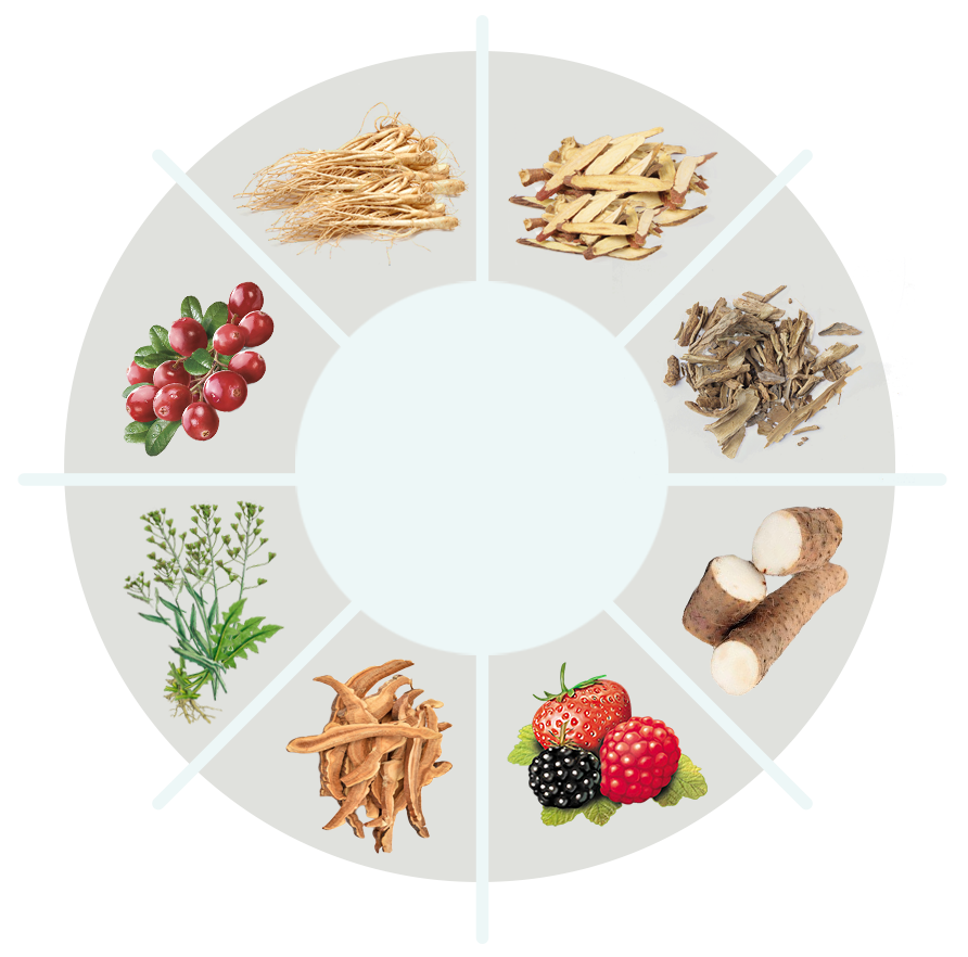 BackBiome Key Ingredients